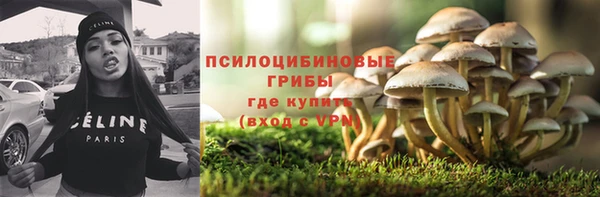 прущая мука Новодвинск