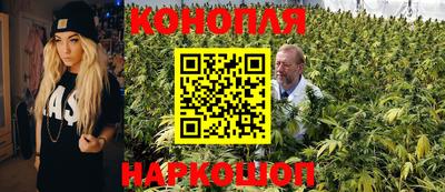 ПСИЛОЦИБИНОВЫЕ ГРИБЫ Коммунар