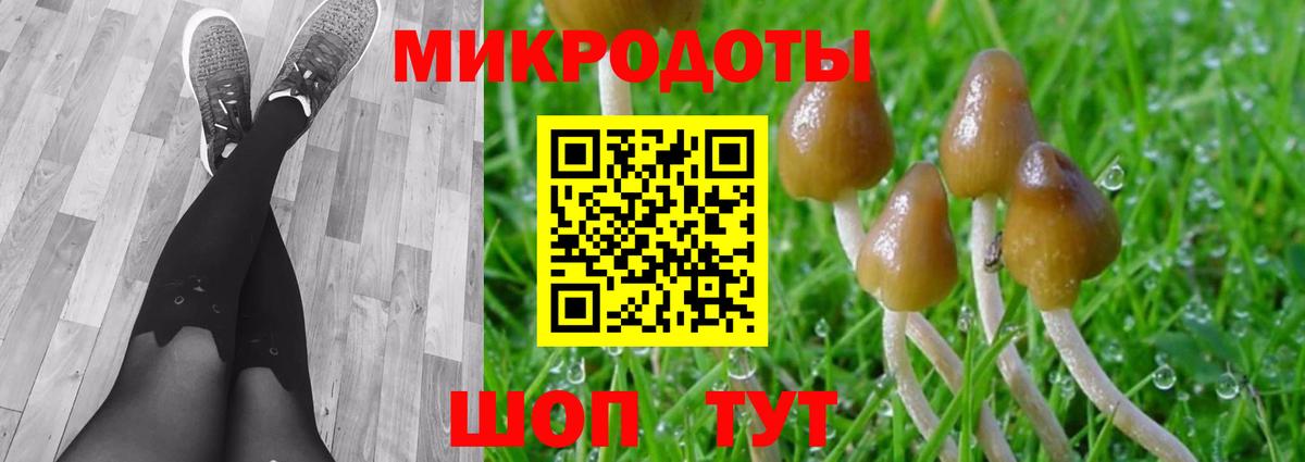 Галлюциногенные грибы мицелий  Псилоцибиновые грибы прущие грибы  Вход с VPN  Саратов 